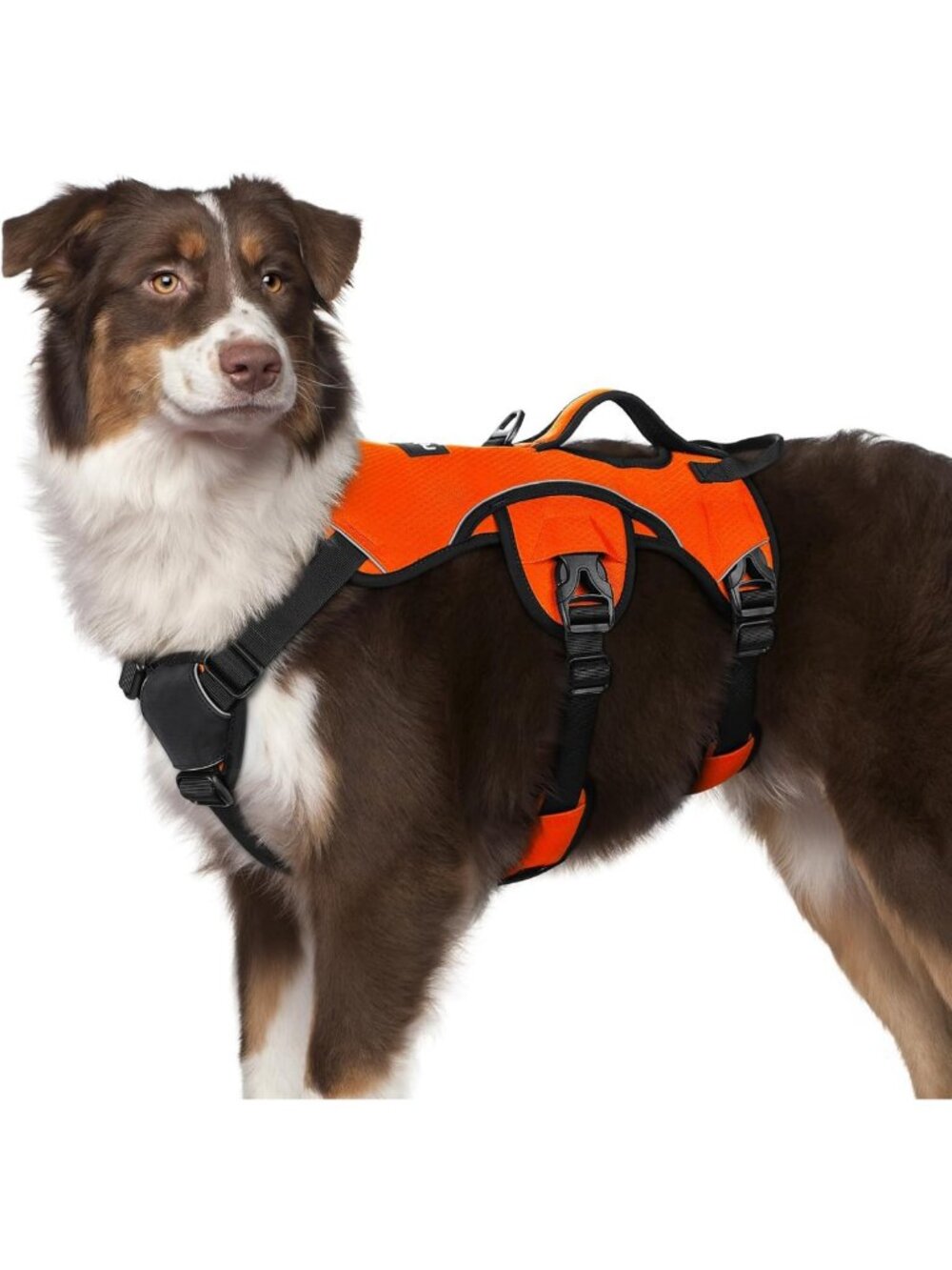Escape Proof No Pull Dog Harness for Medium Dogs - Comfortable with Lift Handle
